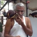 Prakash Amte