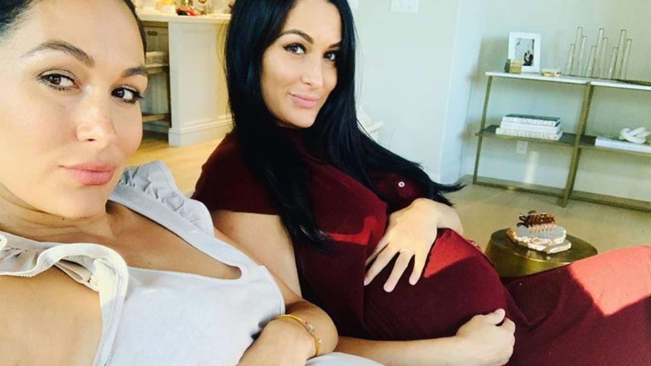 Nikki and Brie Bella