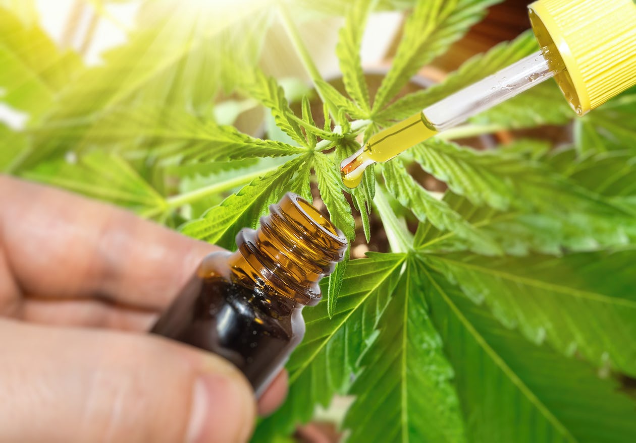 endorse the benefits of CBD